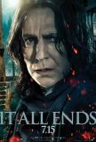 harry potter and the deathly hallows part two ver8 harry potter and the deathly hallows part two ver8