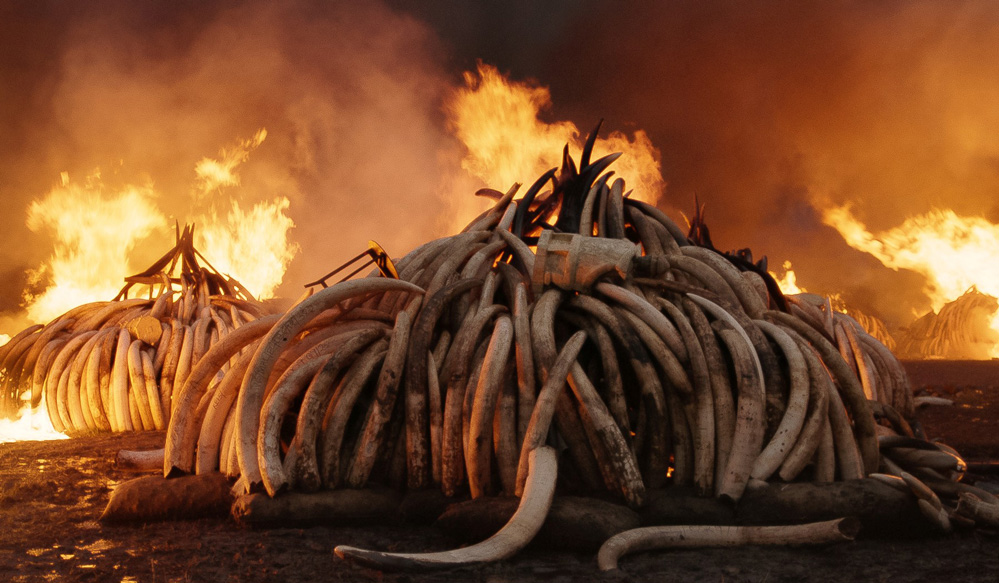 Anthropocene: The Human Epoch