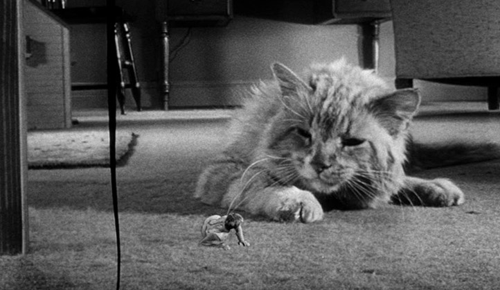 The Incredible Shrinking Man (1957) 