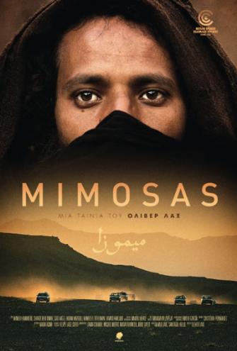 Poster - Mimosas