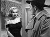 The asphalt jungle