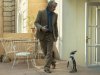 The penguin lessons