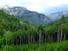  1ο Διεθνές Κινηματογραφικό Camp Ταϋγέτου