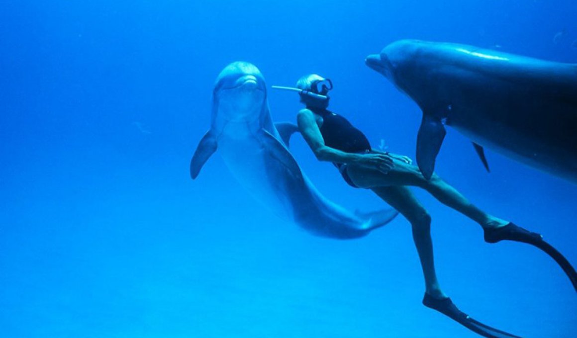 dolphin man
