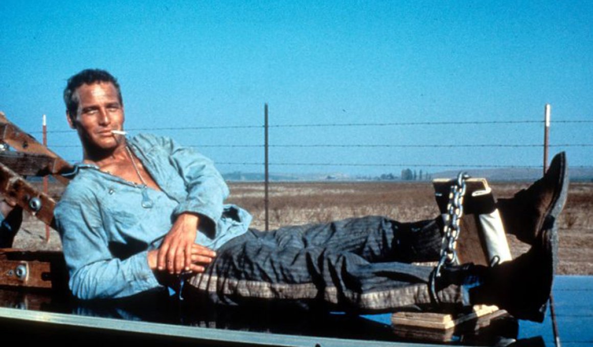 Cool hand Luke - κριτική ταινίας