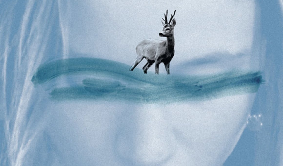 Berlinale 2022: Το «Memoir of a Veering Storm» της Σοφίας Γεωργοβασίλη στο Generation
