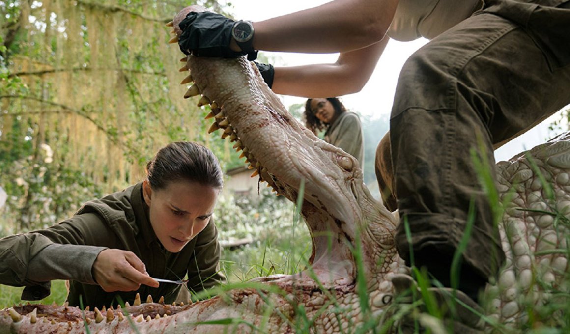 annihilation netflix