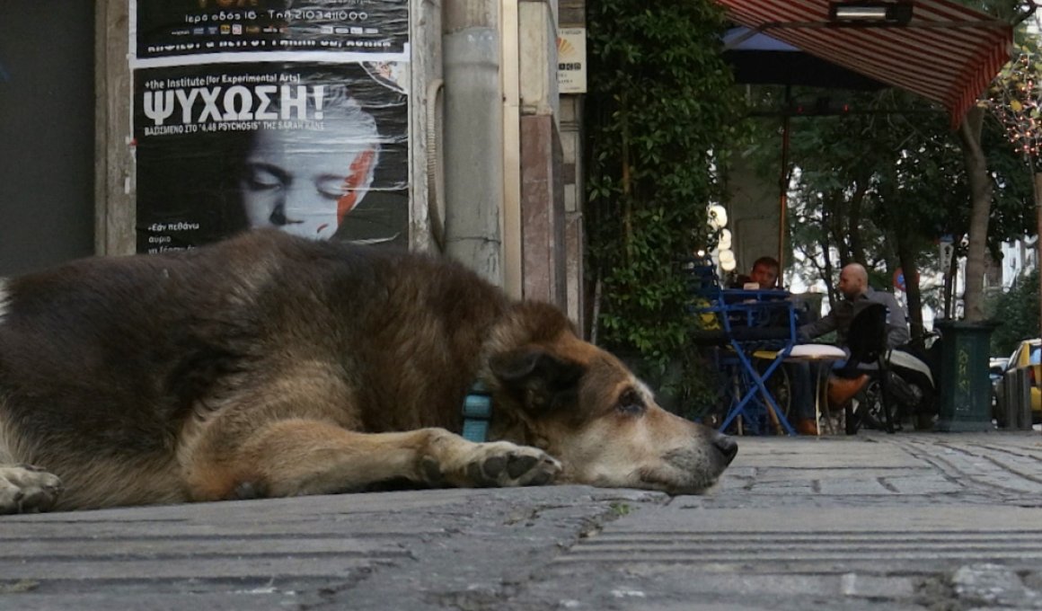 φεστιβαλ ντοκιμαντερ θεσσαλονικης 2020