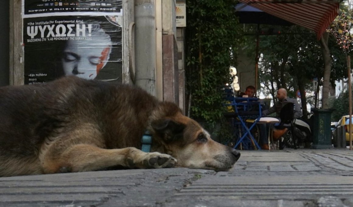 Τα ελληνικά ντοκιμαντέρ που θα δείτε στο online 22ο ΦΝΘ