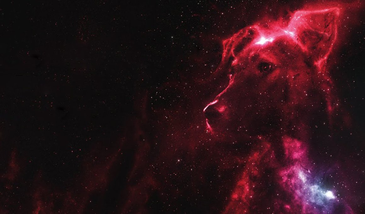 Νύχτες Πρεμιέρας 2020: "Space dogs" - Κριτική