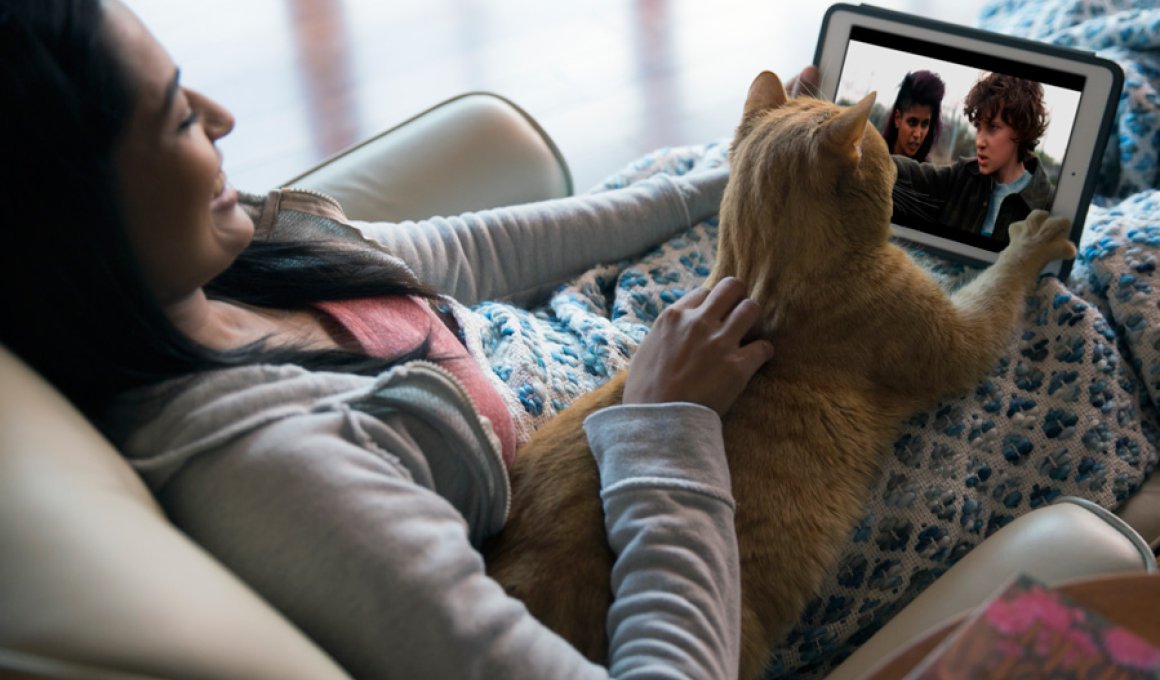 Δες Netflix με το κατοικίδιό σου! 
