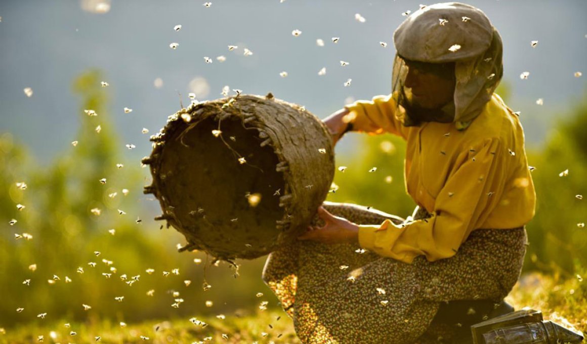 Νύχτες Πρεμιέρας 2019: "Honeyland" - Κριτική