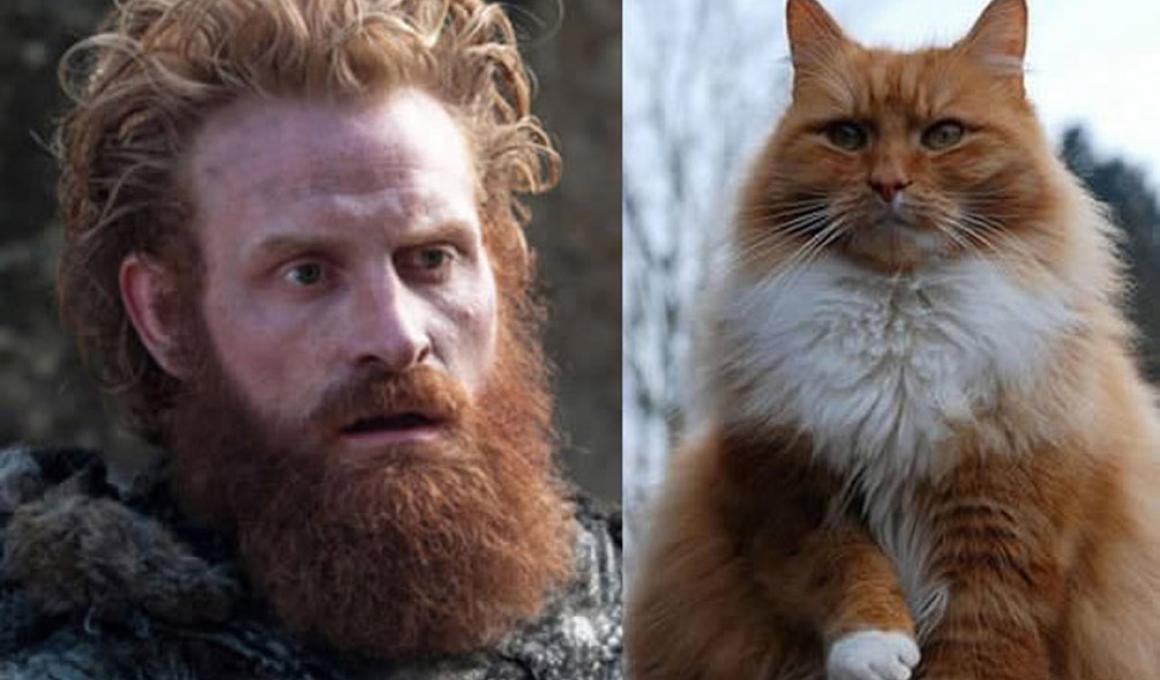 Αν οι ήρωες του Game Of Thrones ήταν γάτες...