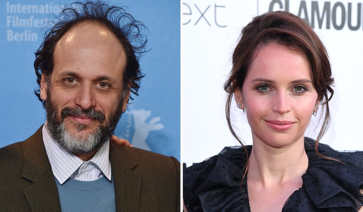 Luca Guadagnino swan lake