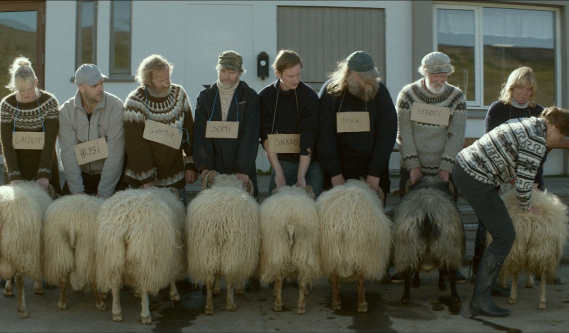 rams