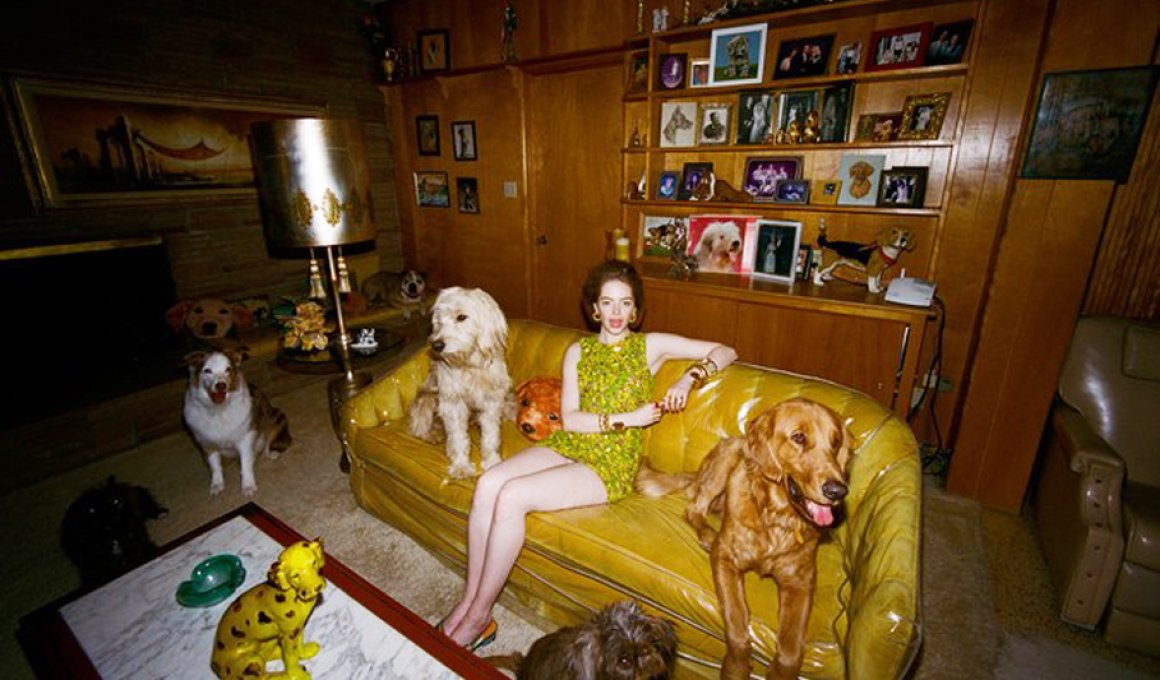 emma stone crazy dog ldy lanthimos