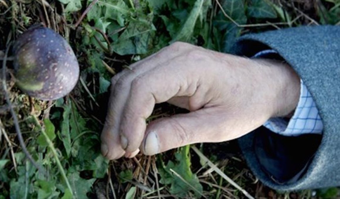 Φεστιβάλ Δράμας 15: Τα βραβεία