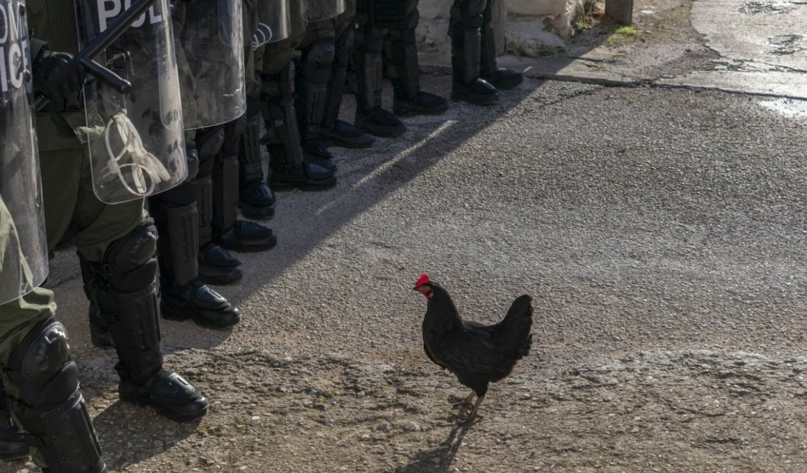 H "Kότα" στο Φεστιβάλ του Σαν Σεμπαστιάν