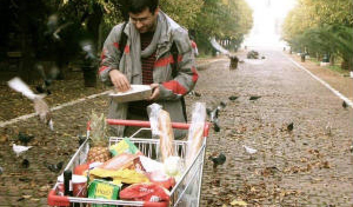 33o Φεστιβάλ Μικρού Μήκους Δράμας - Οι νικητές