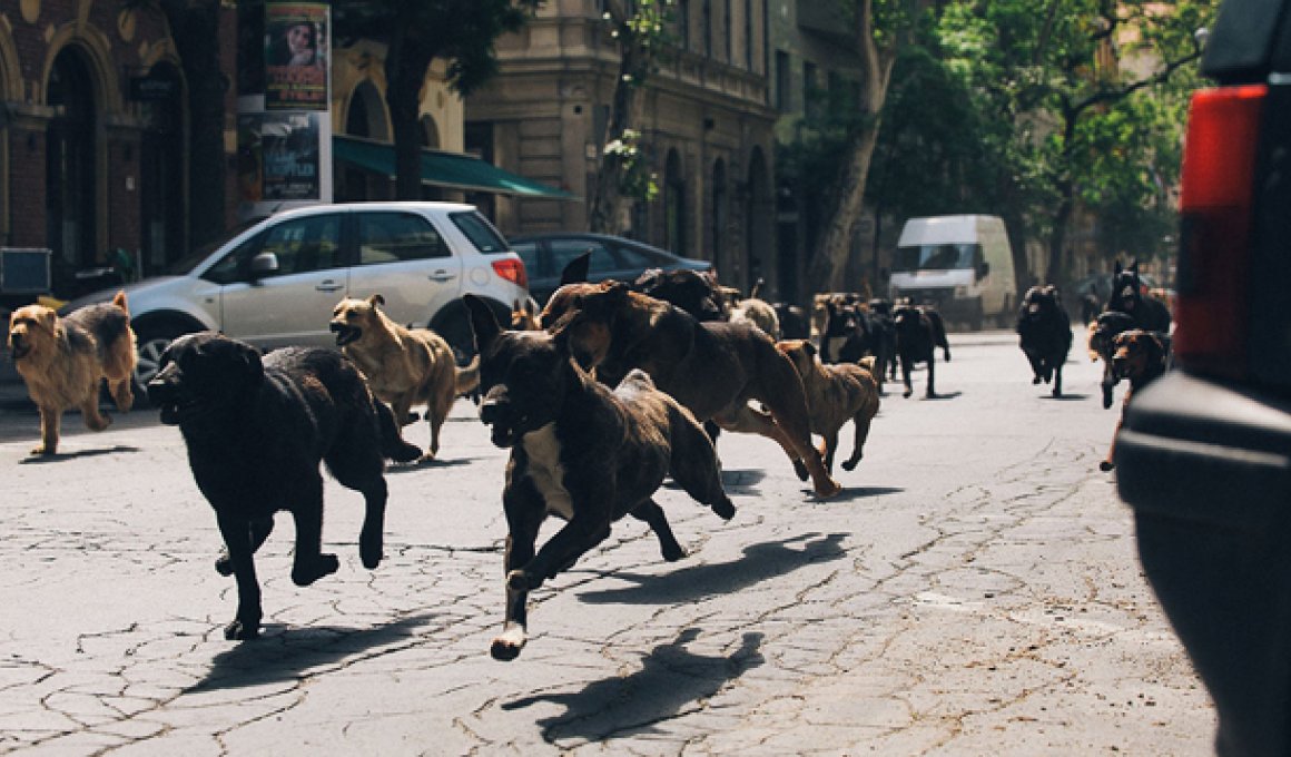 Θεσσαλονίκη 14 - Παρασκευή 31/10: Το MOVE IT προτείνει