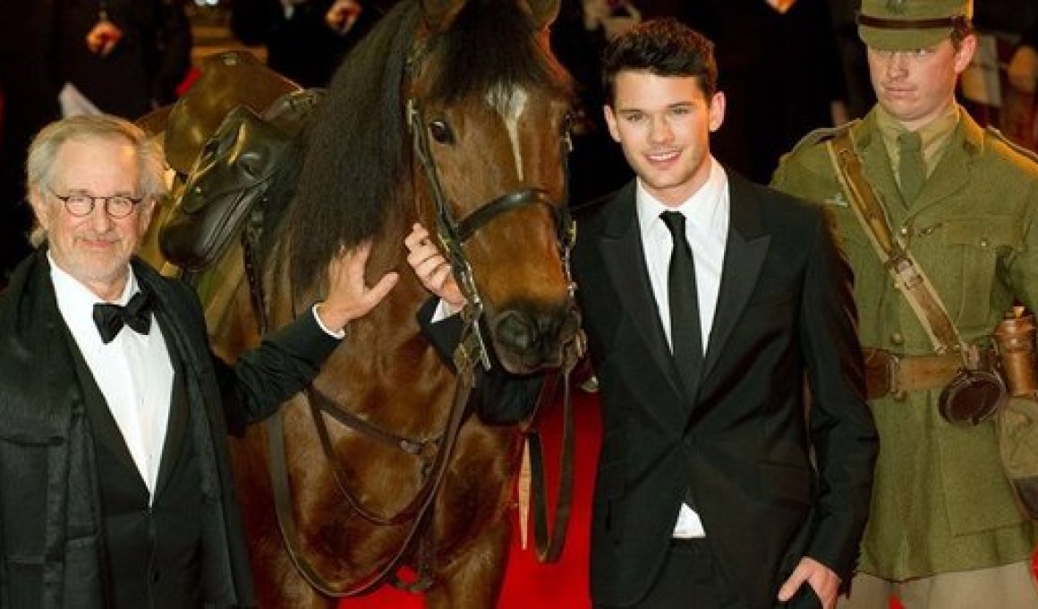 War Horse: The Facts