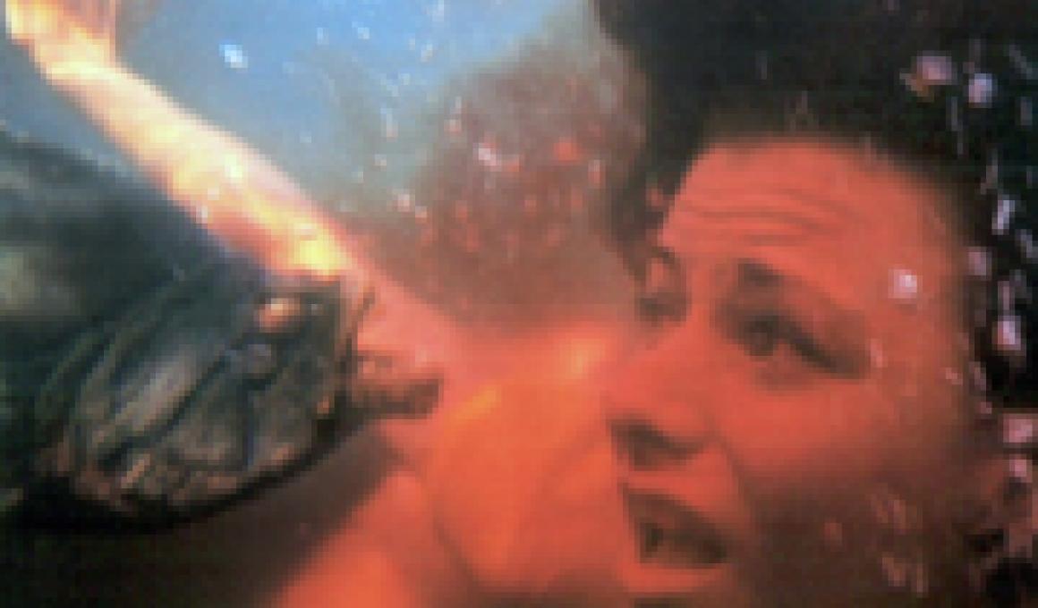 Piranha 2: The Spawning - κριτική ταινίας