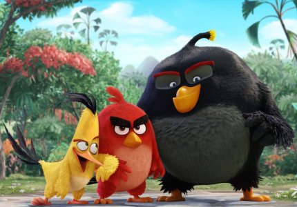 Angry birds