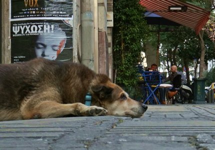 Οι άγνωστοι Αθηναίοι