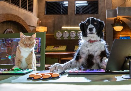 Cats & Dogs 3