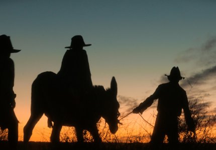 Berlinale 2026: Το MOVE IT γράφει για το Διαγωνιστικό - Μέρος 7ο