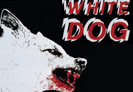 Το Midnight Express παρουσιάζει: "White dog"