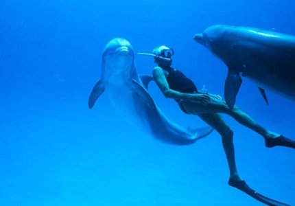 Δωρεάν προβολή για το "Dolphin Man" του Λευτέρη Χαρίτου για τη Παγκόσμια Ημέρα Γης