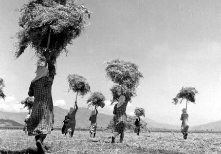 Ένα ντοκιμαντέρ για έναν σπουδαίο Έλληνα φωτογράφο