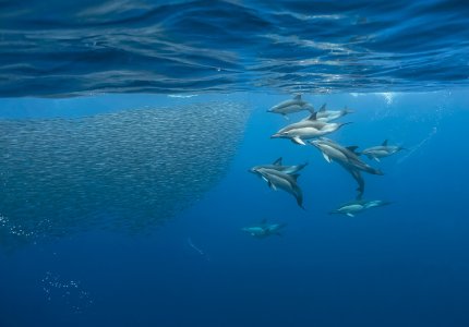 Η Μεσόγειος όπως δεν την έχετε ξαναδεί