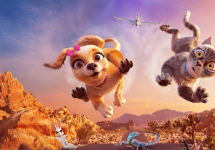 Gracie & Pedro: Pets to the Rescue