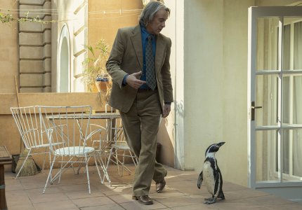 The penguin lessons