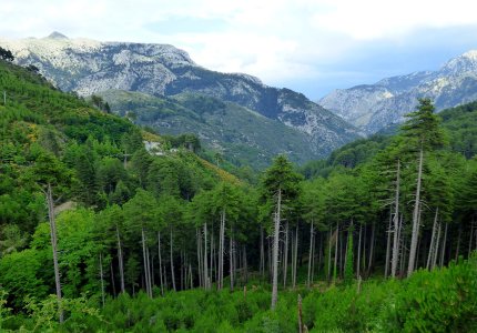 1ο Διεθνές Κινηματογραφικό Camp Ταϋγέτου