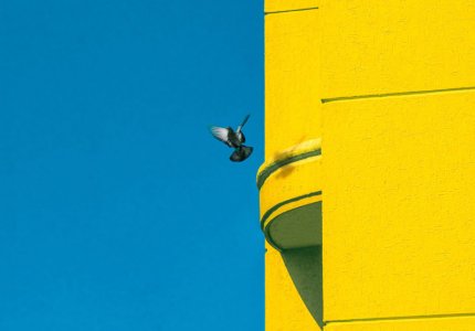 Filmmakers for Ukraine: Βοηθάμε τους Ουκρανούς κινηματογραφιστές
