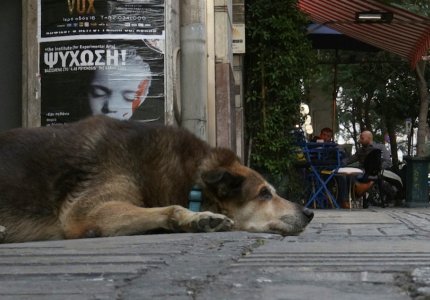 22ο Φεστιβάλ Ντοκιμαντέρ Θεσσαλονίκης: Τα ελληνικά φιλμ