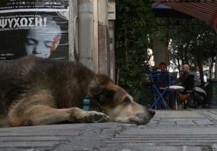 Τα ελληνικά ντοκιμαντέρ που θα δείτε στο online 22ο ΦΝΘ