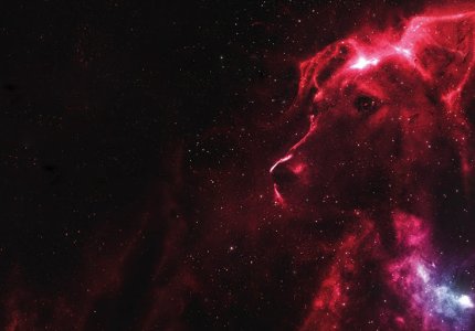 Νύχτες Πρεμιέρας 2020: "Space dogs" - Κριτική