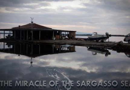 Οι πρώτες εγκρίσεις του Ελληνικού Κέντρου Κινηματογράφου για το 2016