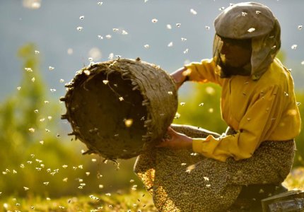 Νύχτες Πρεμιέρας 2019: "Honeyland" - Κριτική