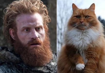 Αν οι ήρωες του Game Of Thrones ήταν γάτες...