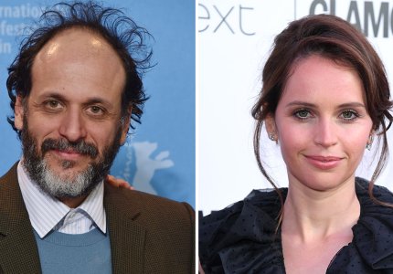 Ο Luca Guadagnino στη «Λίμνη των Κύκνων»