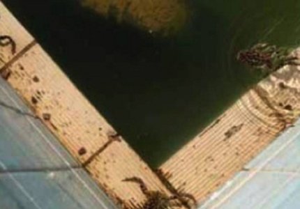 Το «Park» της Σοφίας Εξάρχου και το «Νήμα» του Αλέξανδρου Βούλγαρη στο Κάρλοβι Βάρι