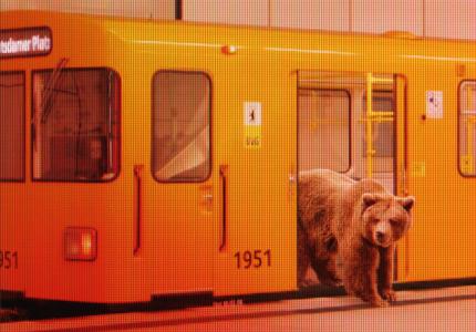 Berlinale 16: Πόστερ - Η αρκούδα είναι ελεύθερη! 