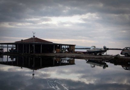 The Miracle of the Sargasso Sea