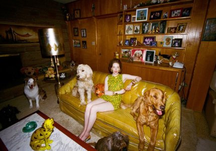 emma stone crazy dog ldy lanthimos