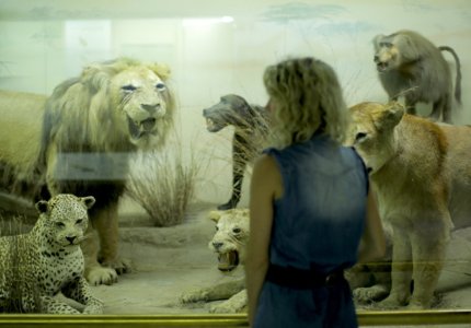 Η Κωνσταντίνα Κοτζαμάνη στο Κάρλοβι Βάρι με το "Washingtonia"